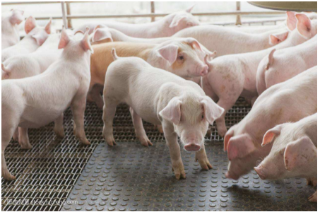 1678413790529.jpg 1678413790529.jpg