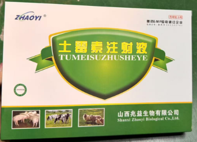 1729473610020.jpg 1729473610020.jpg