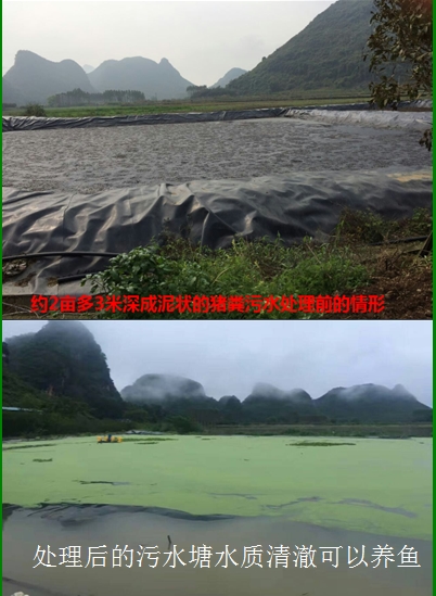 污水處理前后.jpg 污水處理前后.jpg