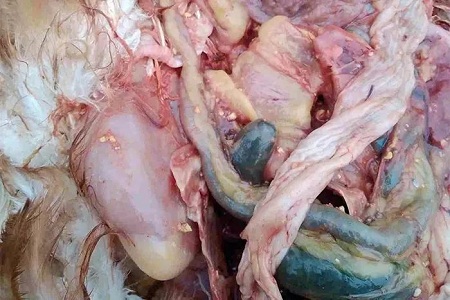 18926442.jpg 18926442.jpg