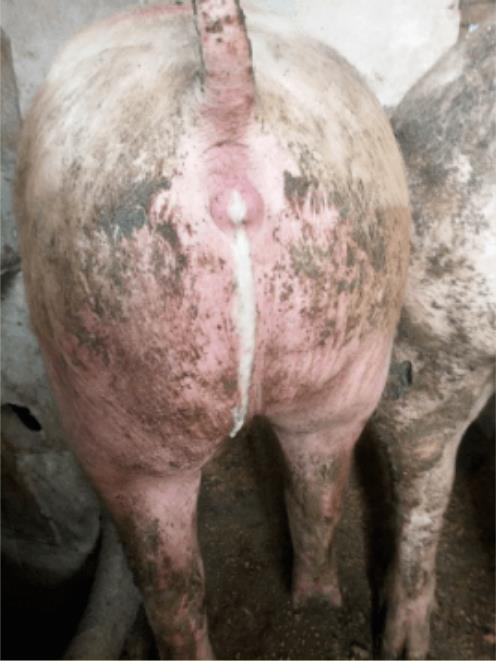 微信截圖_20241028145708.jpg 微信截圖_20241028145708.jpg