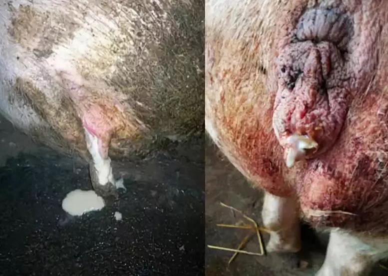 微信截圖_20241028145723.jpg 微信截圖_20241028145723.jpg