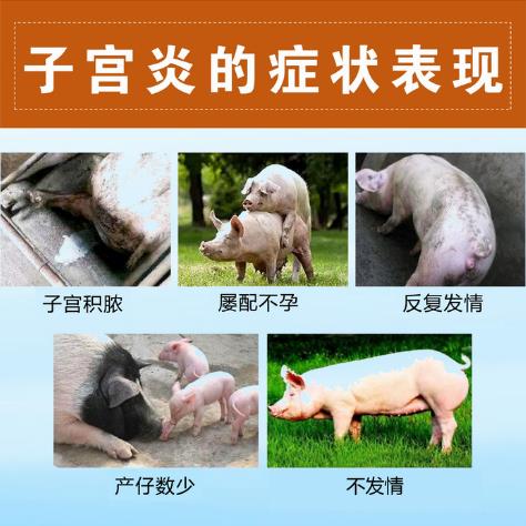 微信截圖_20241028145802.jpg 微信截圖_20241028145802.jpg