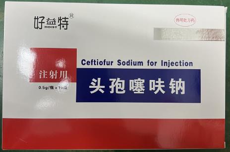 微信截圖_20241028145829.jpg 微信截圖_20241028145829.jpg