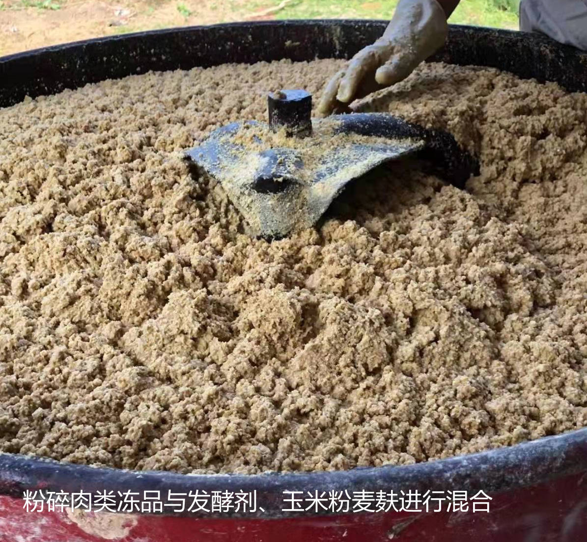 粉碎肉類凍品與發酵劑、玉米粉麥麩進行混合.jpg