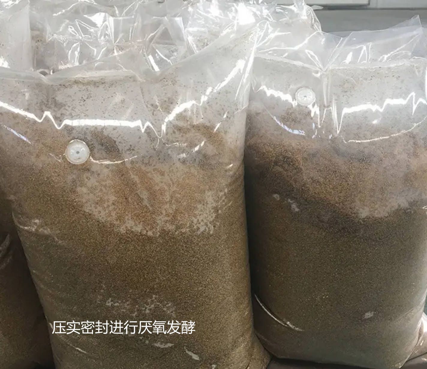 壓實密封進行厭氧發酵.jpg