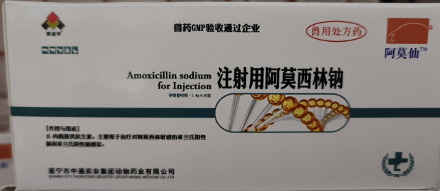 1730425280778.jpg 1730425280778.jpg