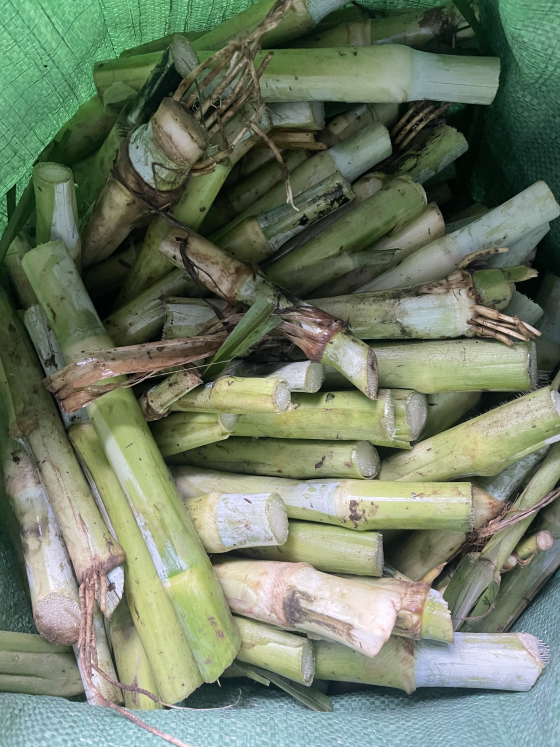 09C630042177BF5762AF020939A71A13.png 09C630042177BF5762AF020939A71A13.png