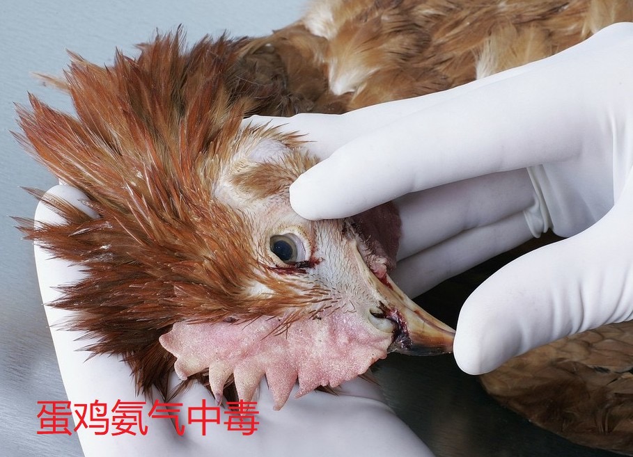 微信圖片_20241107095129.jpg 微信圖片_20241107095129.jpg