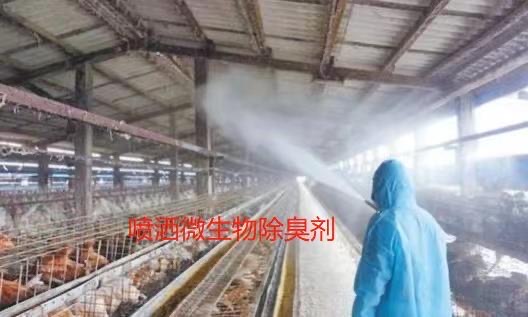 微信圖片_20241107095139.jpg 微信圖片_20241107095139.jpg