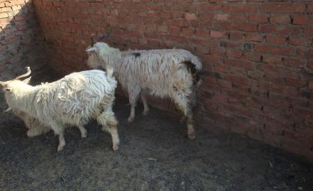 QQ圖片20241111124652.png QQ圖片20241111124652.png