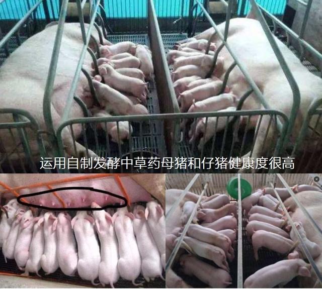 微信圖片_20241111152935.jpg 微信圖片_20241111152935.jpg