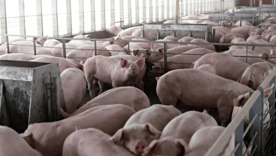 微信截圖_20241111153002.jpg 微信截圖_20241111153002.jpg