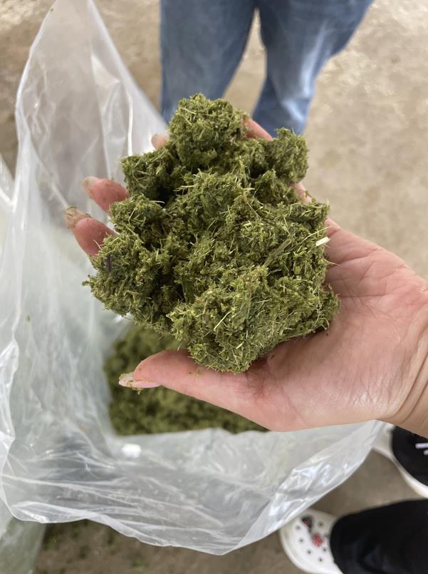 微信截圖_20241111162541.jpg 微信截圖_20241111162541.jpg