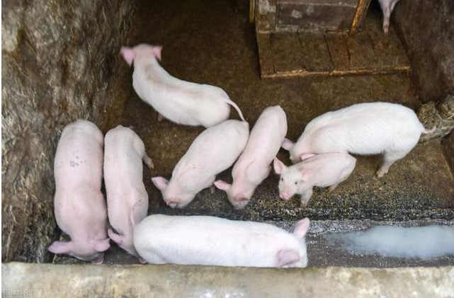 QQ瀏覽器截圖20241112102727.png QQ瀏覽器截圖20241112102727.png