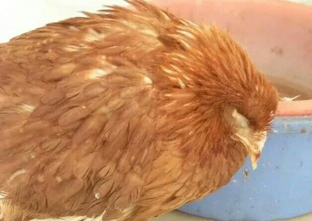 微信圖片_20241118095939.jpg 微信圖片_20241118095939.jpg