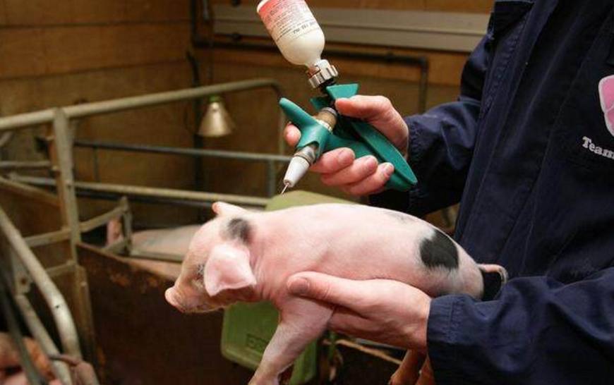 微信圖片_20241120091403.jpg 微信圖片_20241120091403.jpg