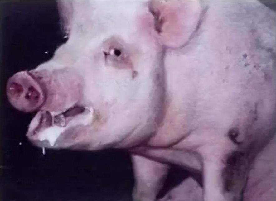 微信截圖_20241120092722.jpg 微信截圖_20241120092722.jpg