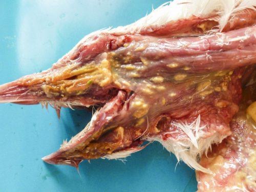 微信圖片_20241122092908.jpg 微信圖片_20241122092908.jpg