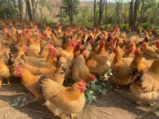 8621D8BC611043414A66F1B46AE120A9.jpg 8621D8BC611043414A66F1B46AE120A9.jpg