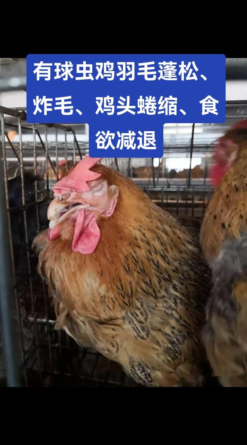 微信圖片_20241128104159.jpg 微信圖片_20241128104159.jpg