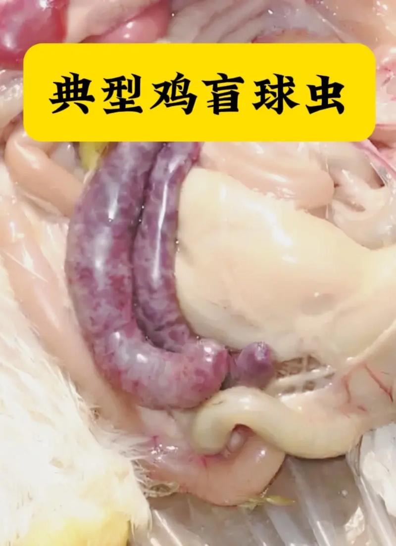 微信圖片_20241128104144.jpg 微信圖片_20241128104144.jpg