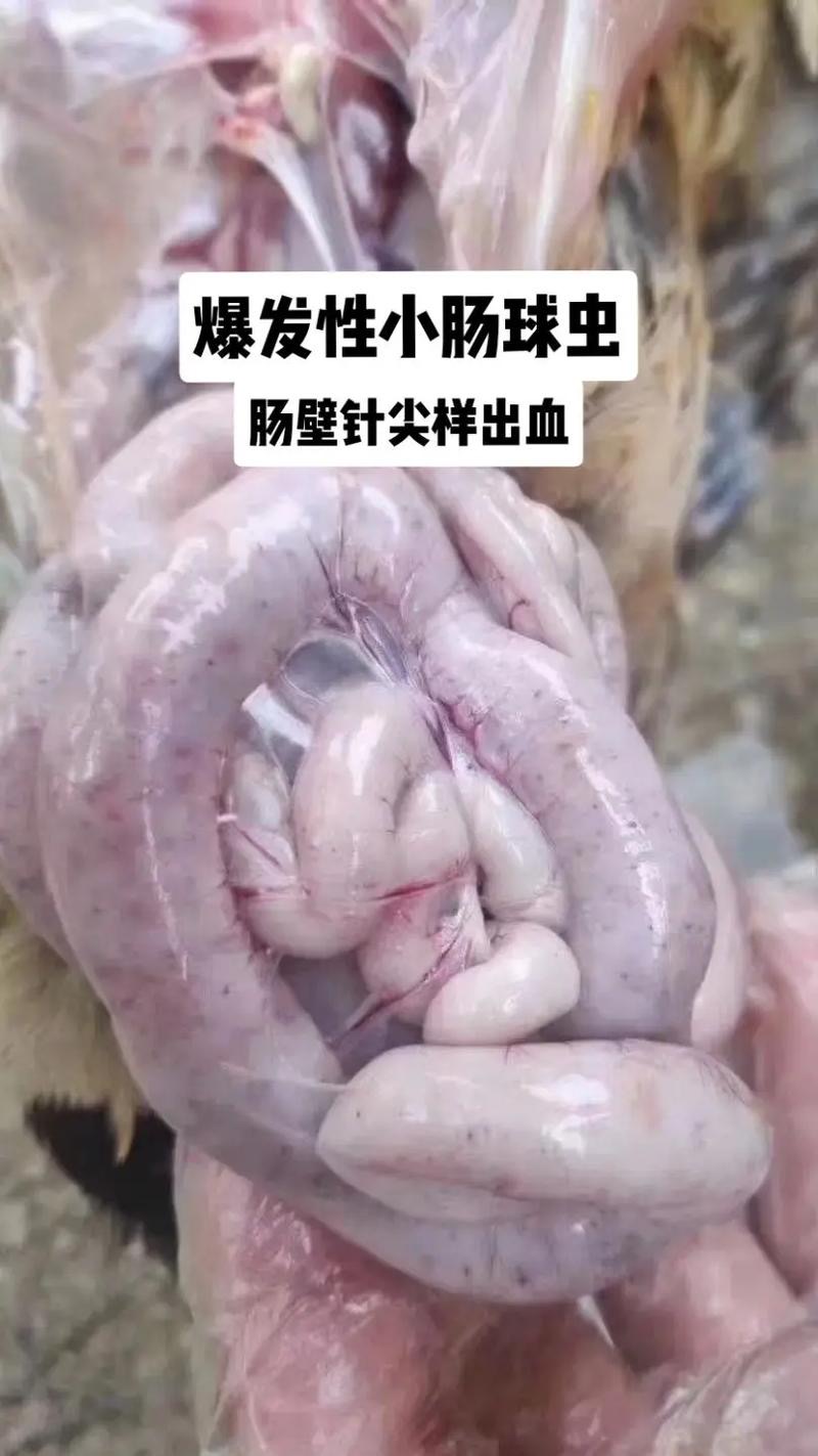 微信圖片_20241128104153.jpg 微信圖片_20241128104153.jpg