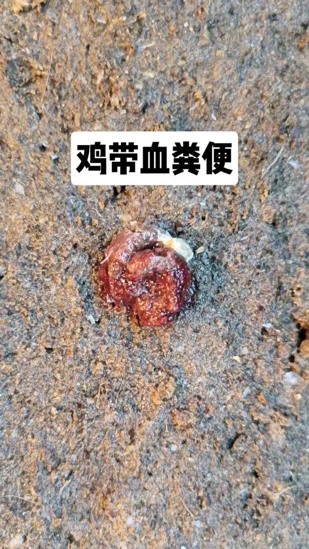 微信圖片_20241128104149.jpg 微信圖片_20241128104149.jpg