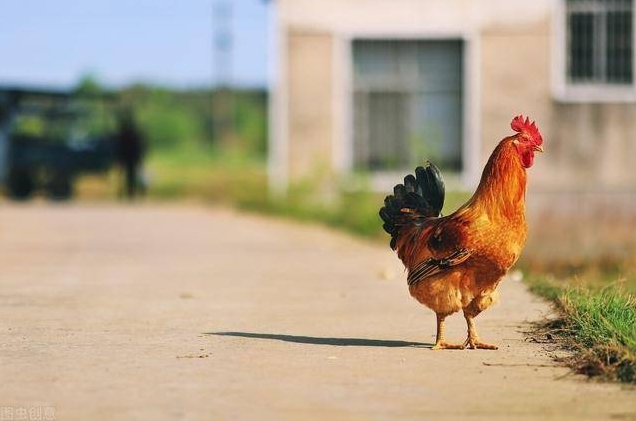 微信截圖_20241205104806.png 微信截圖_20241205104806.png