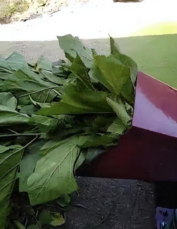 1716701924126849.jpg 1716701924126849.jpg