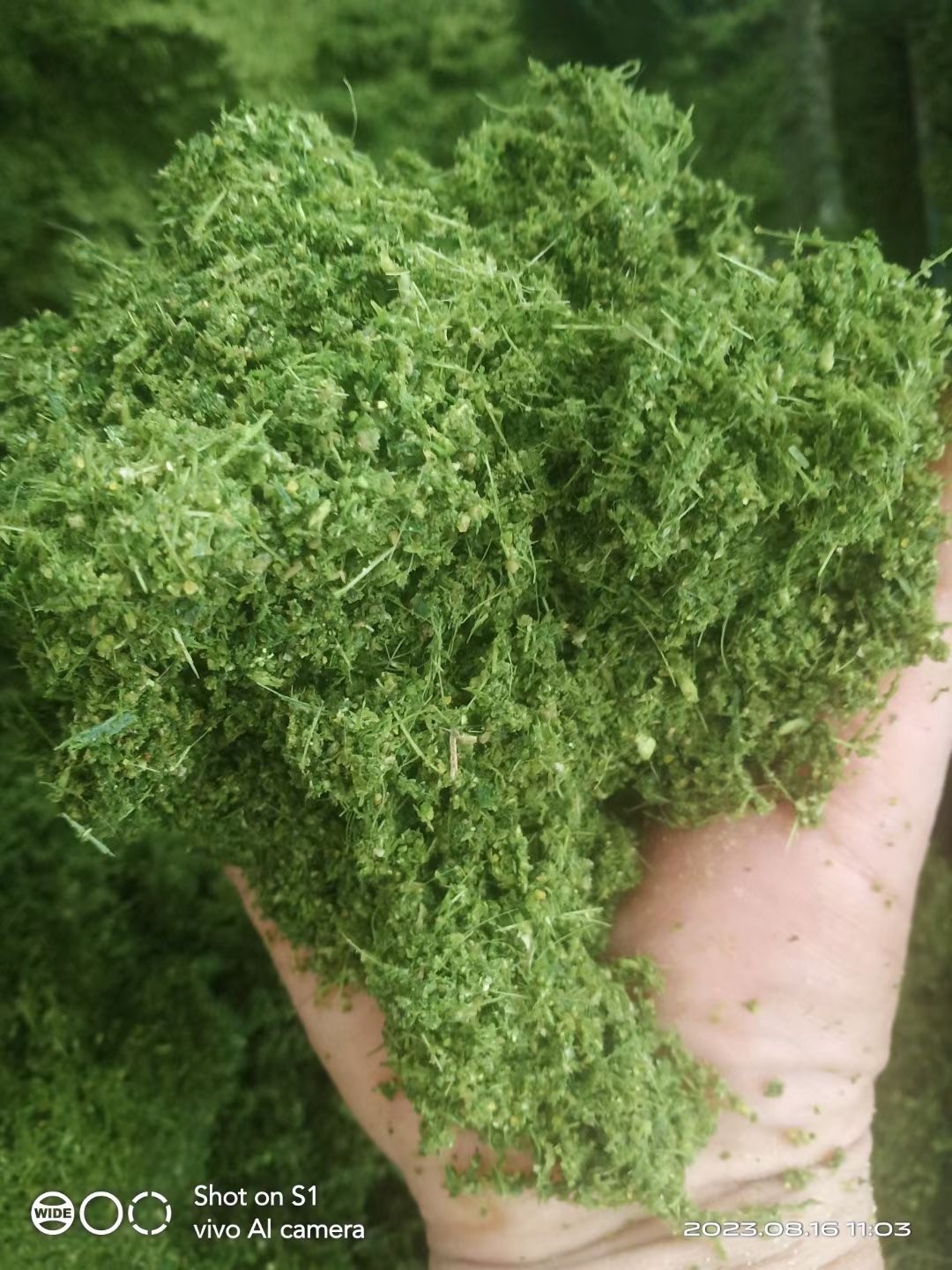 微信圖片_20241206101325.jpg 微信圖片_20241206101325.jpg