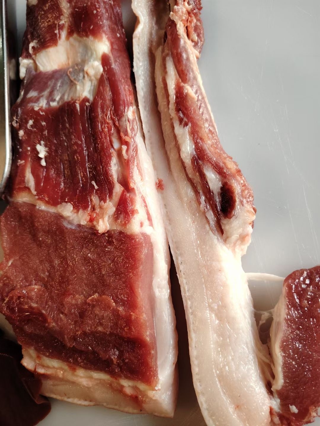 微信圖片_20241206101600.jpg 微信圖片_20241206101600.jpg