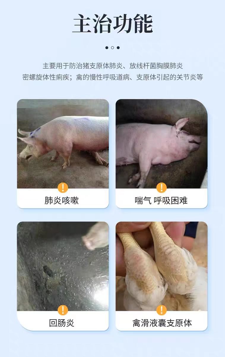 7da64c917086243eb16f0b89e2ce160.jpg 7da64c917086243eb16f0b89e2ce160.jpg