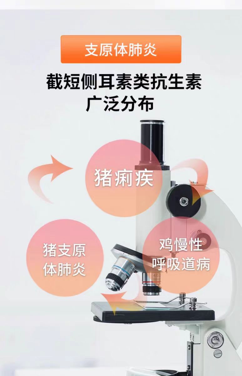 62ce57098ef42a7edd4941974fa99cb.jpg 62ce57098ef42a7edd4941974fa99cb.jpg