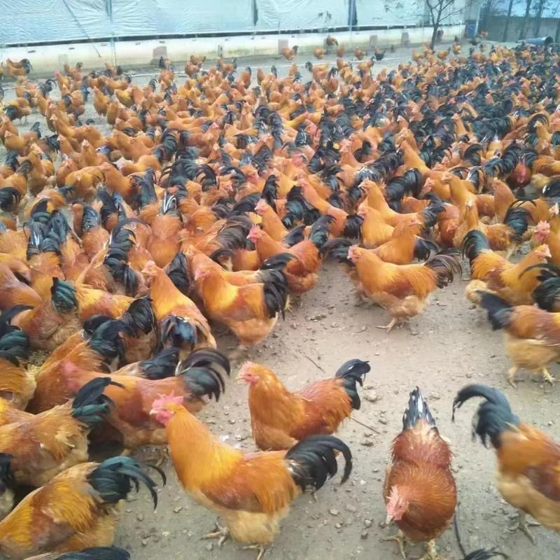 微信圖片_20241209092758.jpg 微信圖片_20241209092758.jpg