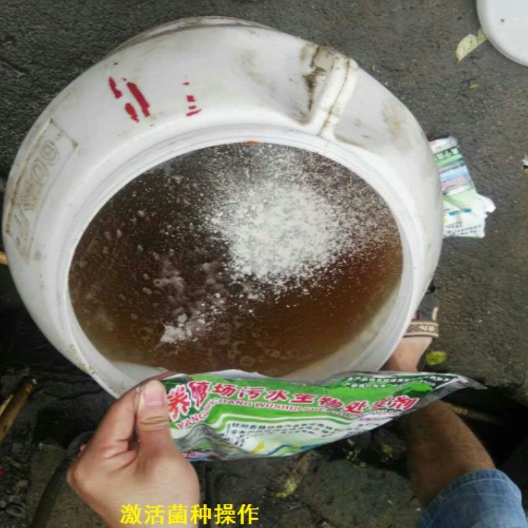 微信截圖_20241209100457.jpg 微信截圖_20241209100457.jpg