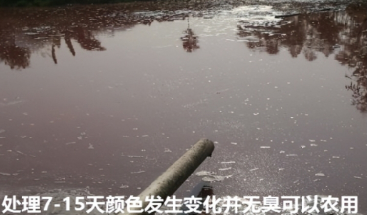 微信截圖_20241209100548.jpg 微信截圖_20241209100548.jpg