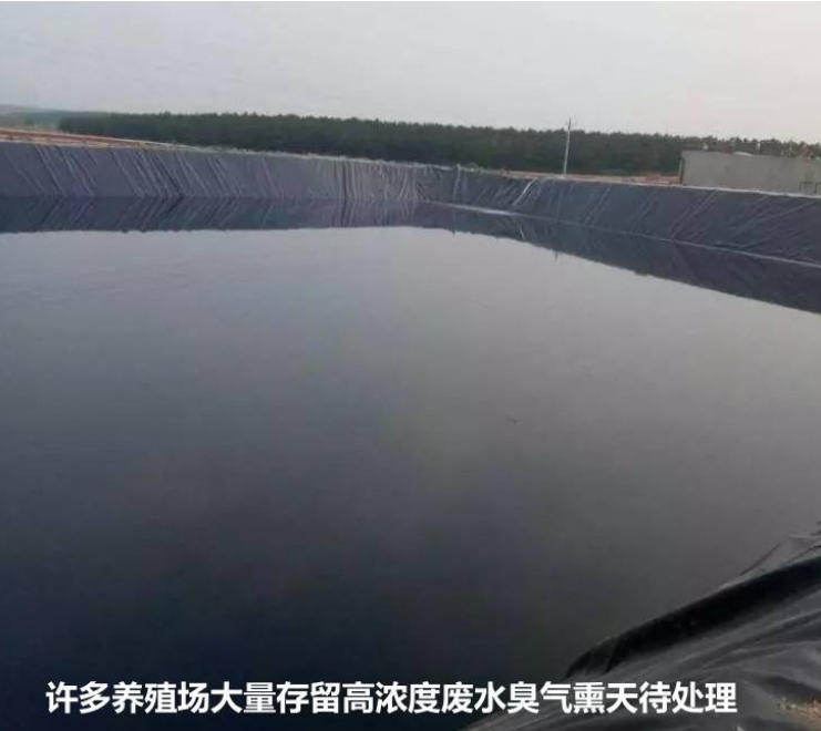 微信截圖_20241211112657.jpg 微信截圖_20241211112657.jpg