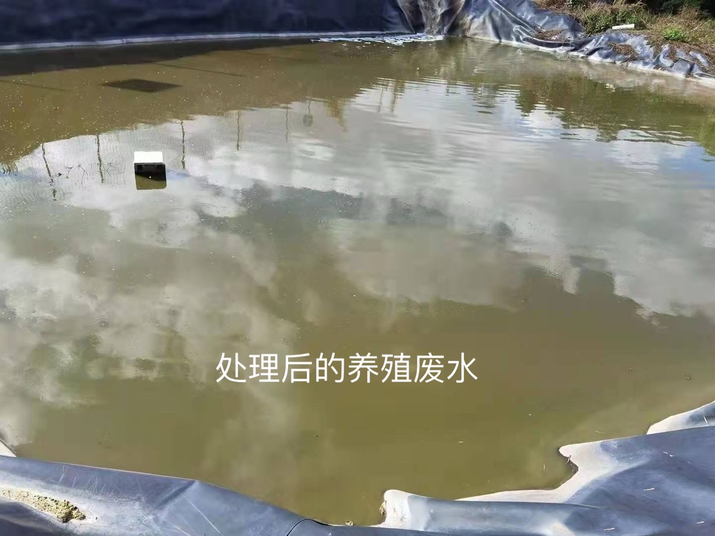 微信圖片_20241211112709.jpg 微信圖片_20241211112709.jpg