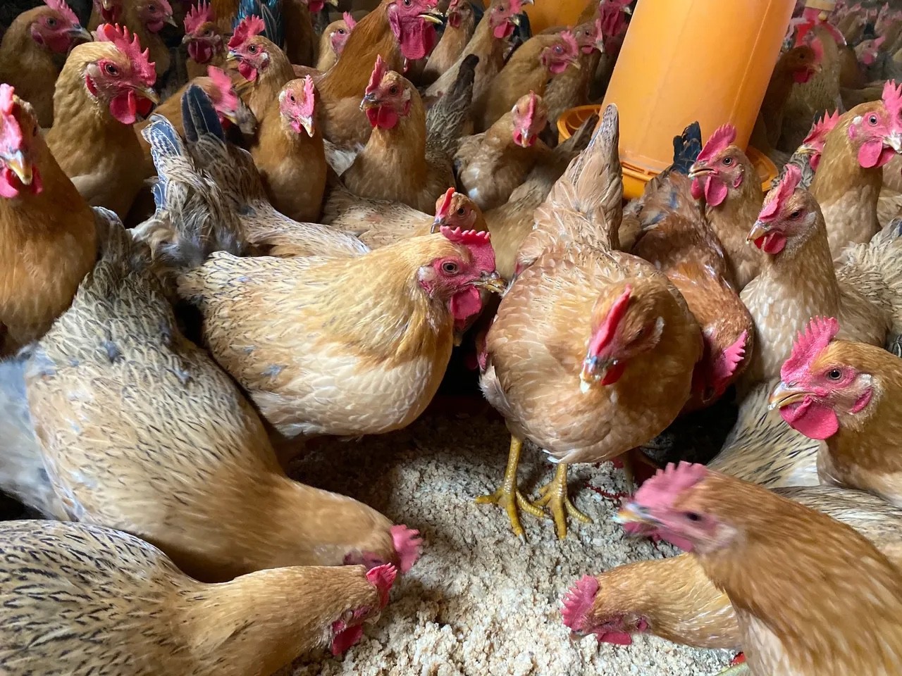 微信圖片_20241212103157.jpg 微信圖片_20241212103157.jpg