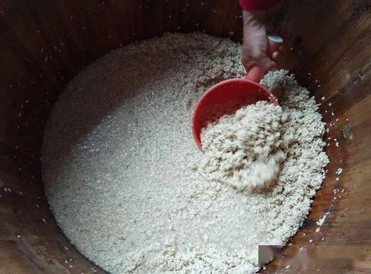 微信圖片_20241212163306.jpg 微信圖片_20241212163306.jpg