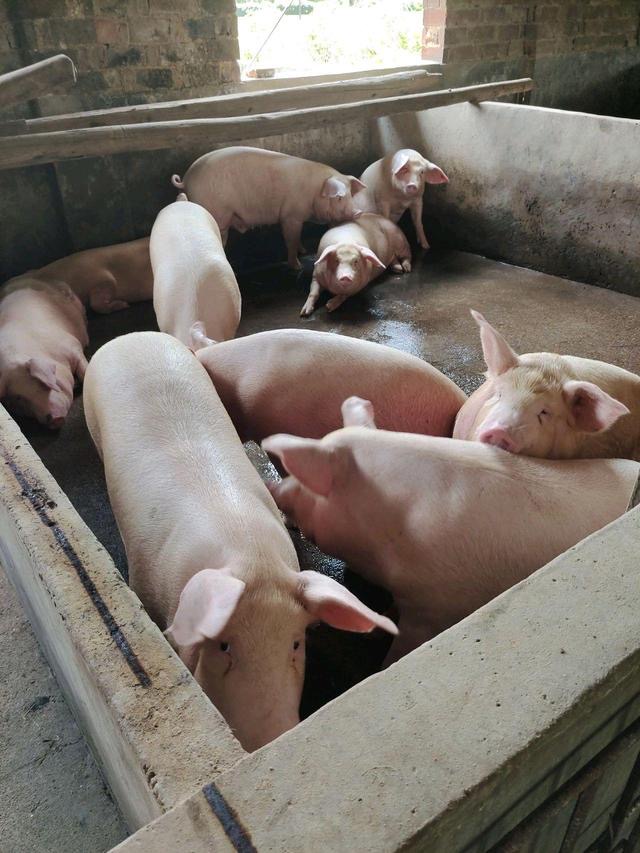 微信圖片_20241212163326.jpg 微信圖片_20241212163326.jpg