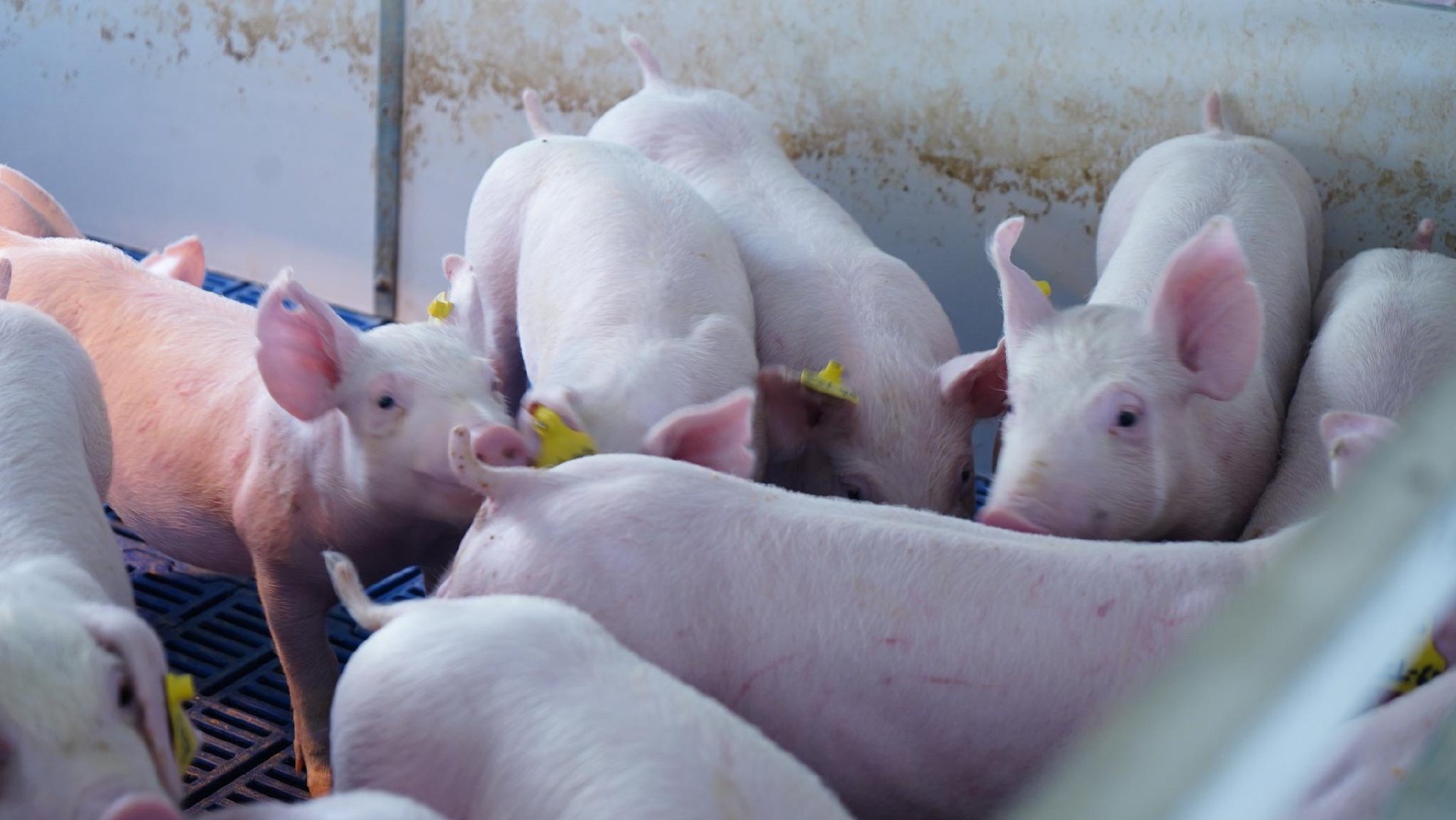 微信圖片_20241212163322.jpg 微信圖片_20241212163322.jpg