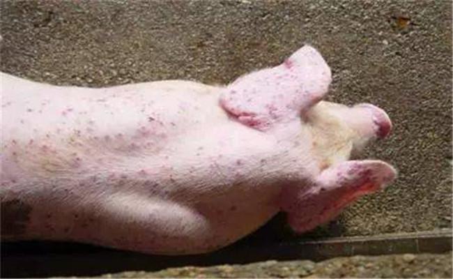 微信圖片_20241216150034.jpg 微信圖片_20241216150034.jpg