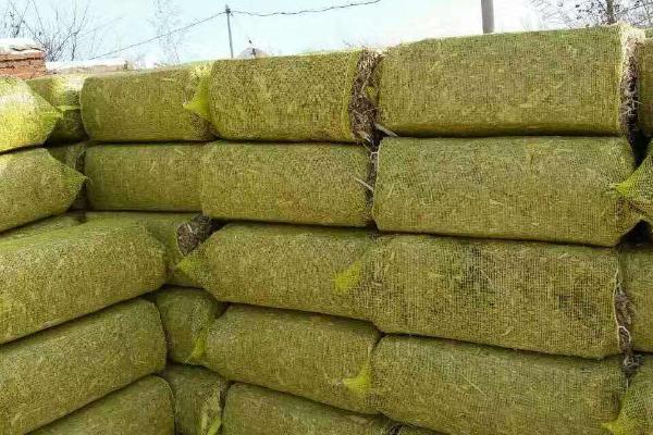 青儲飼料的制作方法,要用什么