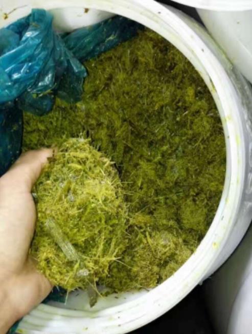 17313135691606275.jpg 17313135691606275.jpg