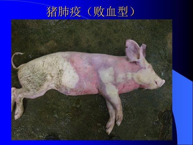 微信圖片_20241218101659.jpg 微信圖片_20241218101659.jpg