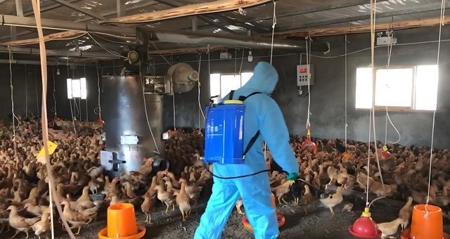 微信圖片_20241218113441.jpg 微信圖片_20241218113441.jpg