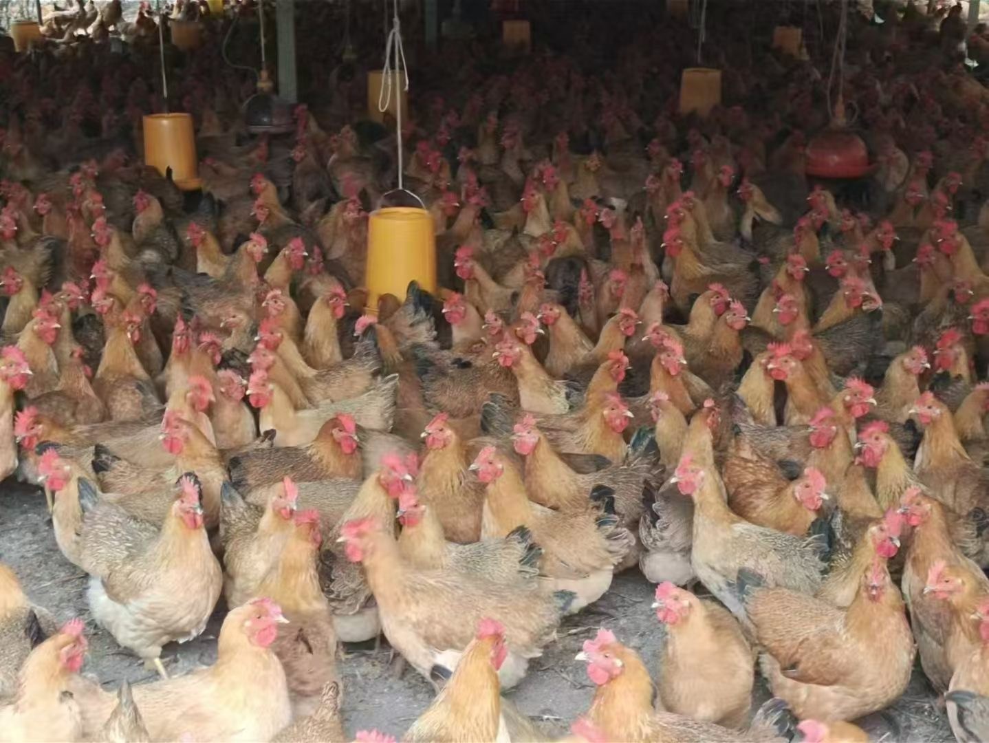 微信圖片_20241218113426.jpg 微信圖片_20241218113426.jpg