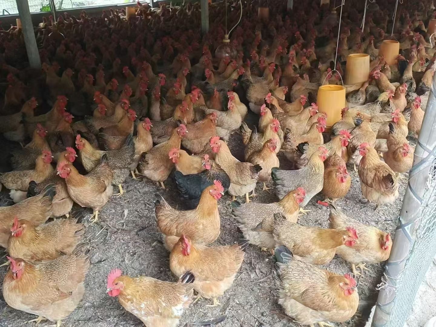 微信圖片_20241218113422.jpg 微信圖片_20241218113422.jpg